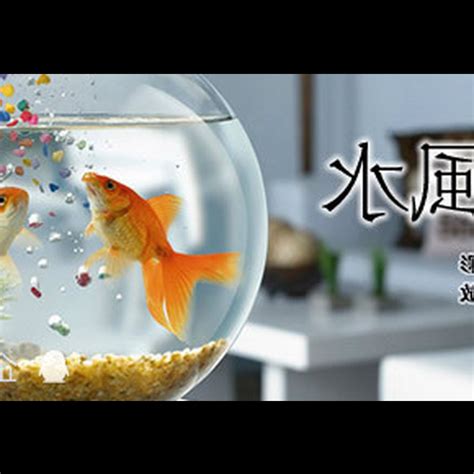 生肖養魚數量|魚缸形狀和養魚數目，原來還有這麼大講究！